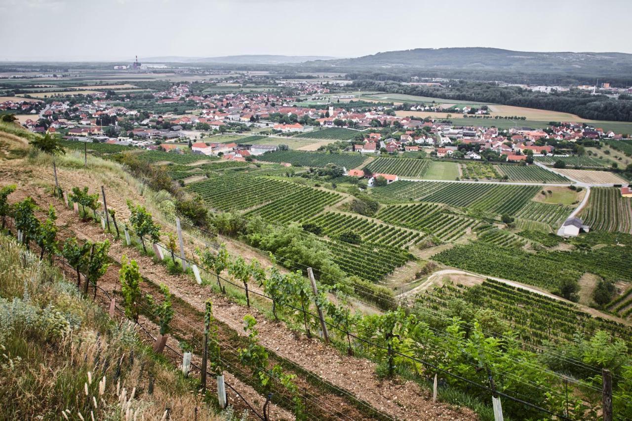 Rohrendorf bei Krems Schmankerl Und Gast B&B 외부 사진